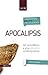 Comentario bíblico con aplicacion NVI Apocalipsis: Del texto bíblico a una aplicación contemporánea (Comentarios bíblicos con aplicación NVI) (Spanish Edition)