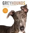 Greyhounds Greyhounds