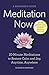Meditation Now: A Beginner's Guide: 10-Minute Meditations to Restore Calm and Joy Anytime, Anywhere
