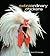 Extraordinary Chickens