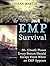 EMP Survival: 20 + Unsafe Places Every Person Should Escape When EMP Appears (Survival, EMP Survival, EMP Survival Fiction)