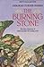 The Burning Stone (Mages of Garillon, #1)