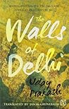 The Walls Of Delhi