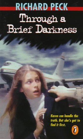 Through a Brief Darkness (Paperback)