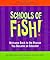 Schools of Fish! by Philip Strand