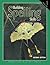 Building Spelling Skills 1 by Garry J. Moes
