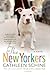 The New Yorkers by Cathleen Schine