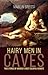 Hairy Men in Caves: True Stories of America's Most Colorful Hermits