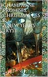 Champagne Promises, Christmas Lies & A New Year's Tryst