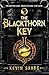 The Blackthorn Key (The Blackthorn Key, #1)