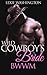 Wild Cowboy Bride