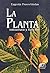 La planta: estructura y función (Spanish Edition)