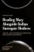 Reading Mary Alongside Indian Surrogate Mothers: Violent Love, Oppressive Liberation, and Infancy Narratives (The Bible and Cultural Studies)