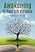 Awakening to Your Life Purpose