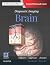 Diagnostic Imaging: Brain