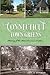 Connecticut Town Greens: Hi...