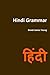 Hindi Grammar (Grammar 2.0: World Languages)