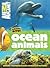 Ocean Animals