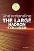 Understanding the Large Had...