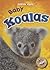 Baby Koalas (Super Cute!)