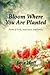 Bloom Where You are Planted by Jane Hoff