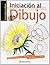 Iniciación al dibujo (Técnicas básicas de dibujo)