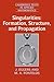 Singularities: Formation, Structure, and Propagation (Cambridge Texts in Applied Mathematics, Series Number 53)