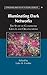 Illuminating Dark Networks: The Study of Clandestine Groups and Organizations (Structural Analysis in the Social Sciences, Series Number 39)