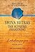 Shiva Sutras: The Supreme Awakening (Lakshmanjoo Academy Book Series)