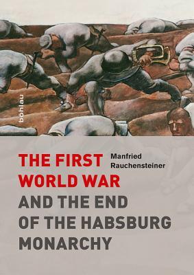 The First World War and the End of the Habsburg Monarchy 1914-1918 (Hardcover)