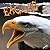 Eagles