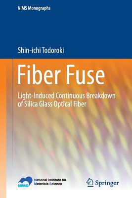 Fiber Fuse: Light-Induced Continuous Breakdown of Silica Glass Optical Fiber (NIMS Monographs)