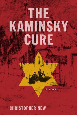 The Kaminsky Cure (Paperback)