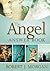 The Angel Answer Book: Exploring the Mysteries of Holy and Fallen Angels (Answer Book Series)