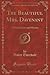 The Beautiful Mrs. Davenant: A Novel of Love and Mystery