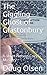 The Giggling Ghost of Glastonbury (Nelson Mysteries #6)