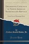 Descriptive Catalogue of North American Batrachia and Reptilia: Found East of Mississippi River (Classic Reprint)