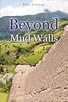 Beyond Mud Walls