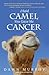 I Said Camel, You Gave Me Cancer