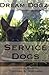 Service Dogs: Information Every Handler Should Know