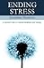 Ending Stress: A Practical Guide to Nondual Meditation (Personal Transformation - Spiritual & Mental Healing)