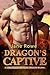 Dragon's Captive