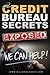 Credit Bureau Secrets Exposed: All The Tools You need To Eliminate Negative Items Off Your Credit Report In 5 Simple Steps!