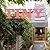 Tiny Houses in the City by Mimi Zeiger
