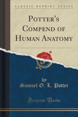Potter's Compend of Human Anatomy