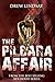 The Pilbara Affair (Ben Hoo...