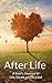 AFTER LIFE: A Soul's Journey of Life, Death and Beyond
