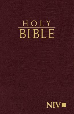 NIV, Holy Bible, Compact, Paperback, Burgundy