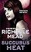 Succubus Heat by Richelle Mead