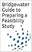 Bridgewater Guide to Preparing a Feasibility Study (Bridgewater Business Guides Book 1)